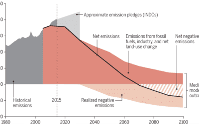 Paris means negative emissions