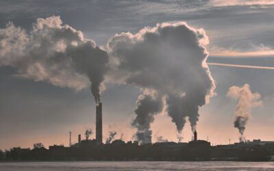 Emissions covered by the EU’s Emissions Trading Scheme rebound but allowances in circulation remain as high as in 2019